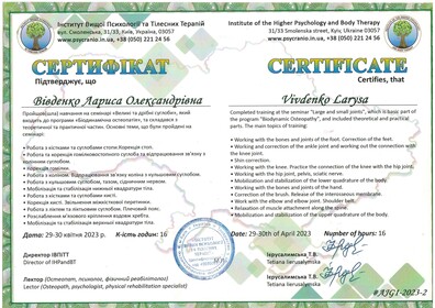 Сертификат №538